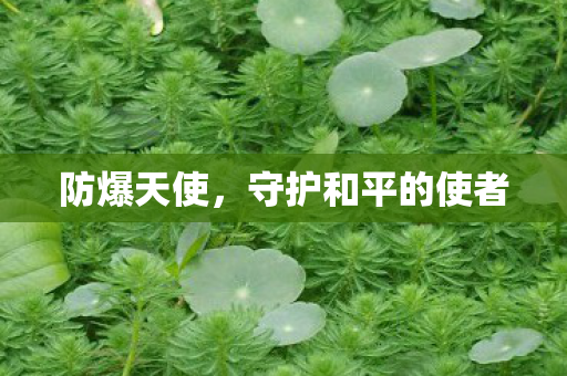 防爆天使，守护和平的使者