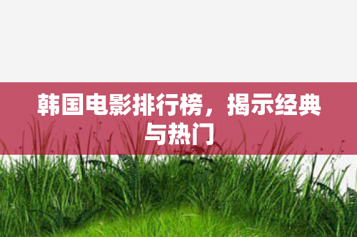 韩国电影排行榜，揭示经典与热门