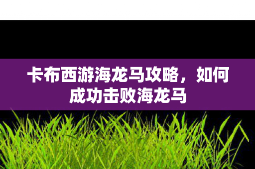 卡布西游海龙马攻略，如何成功击败海龙马