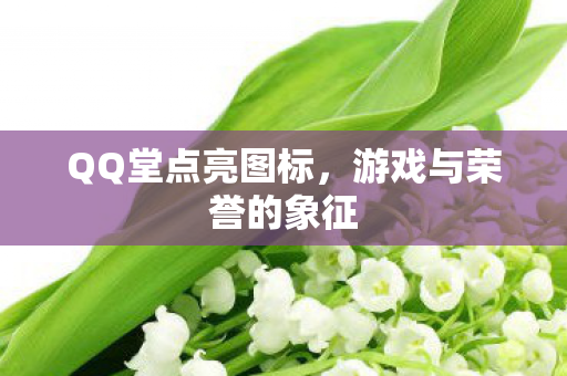 QQ堂点亮图标，游戏与荣誉的象征