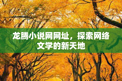 龙腾小说网网址，探索网络文学的新天地