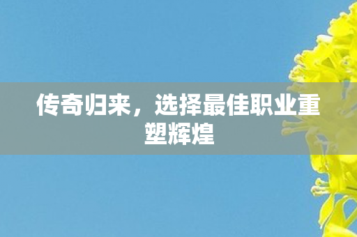 传奇归来，选择最佳职业重塑辉煌