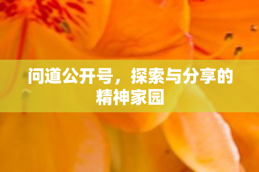 问道公开号，探索与分享的精神家园