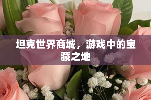 坦克世界商城，游戏中的宝藏之地