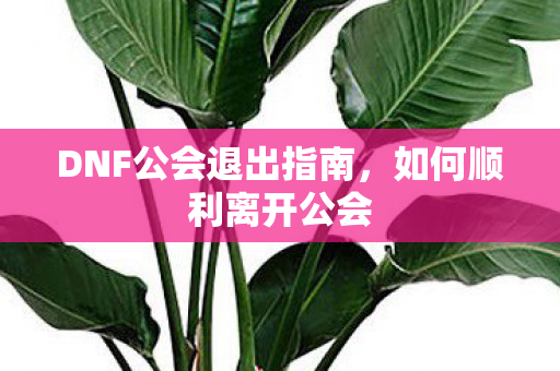 DNF公会退出指南，如何顺利离开公会