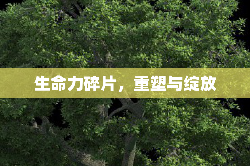 生命力碎片，重塑与绽放