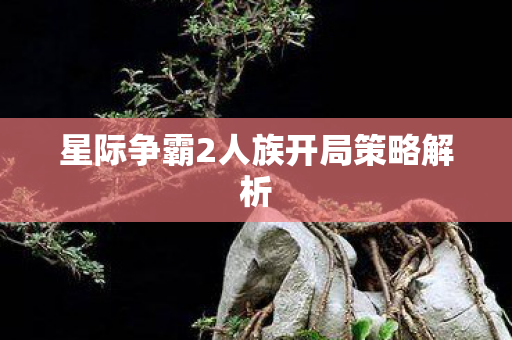 星际争霸2人族开局策略解析