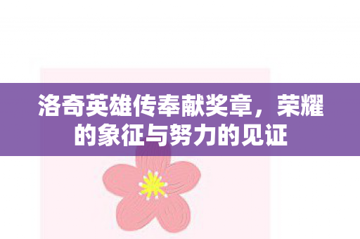 洛奇英雄传奉献奖章，荣耀的象征与努力的见证