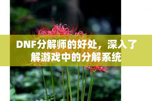 DNF分解师的好处，深入了解游戏中的分解系统