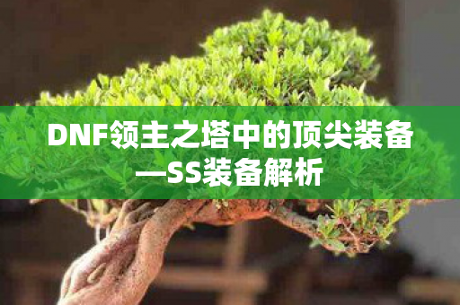 DNF领主之塔中的顶尖装备—SS装备解析