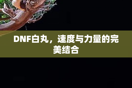 DNF白丸，速度与力量的完美结合