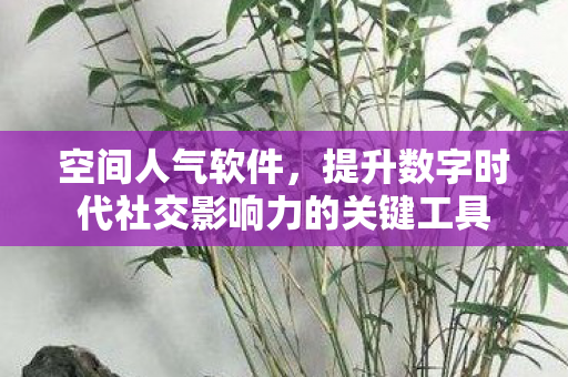 空间人气软件，提升数字时代社交影响力的关键工具