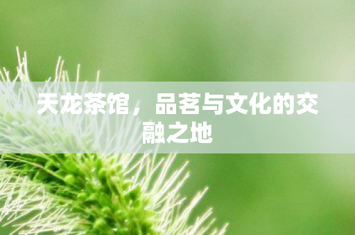 天龙茶馆，品茗与文化的交融之地
