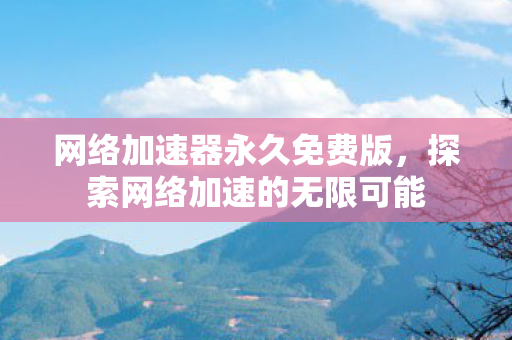 网络加速器永久免费版，探索网络加速的无限可能