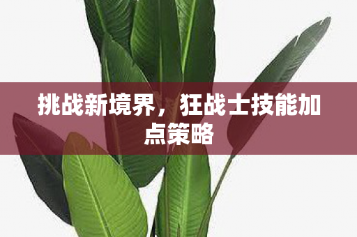 挑战新境界，狂战士技能加点策略