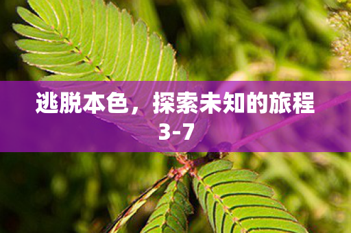逃脱本色，探索未知的旅程3-7