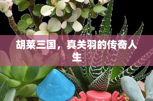 胡莱三国，真关羽的传奇人生