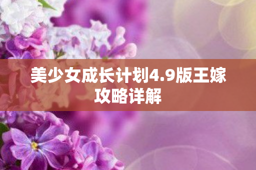 美少女成长计划4.9版王嫁攻略详解