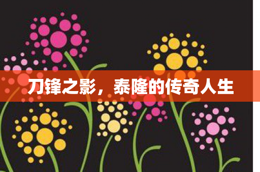 刀锋之影，泰隆的传奇人生