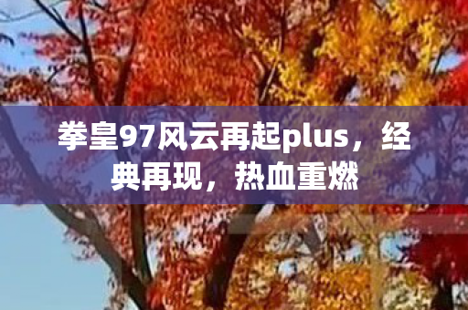 拳皇97风云再起plus，经典再现，热血重燃