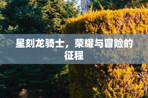 星刻龙骑士，荣耀与冒险的征程