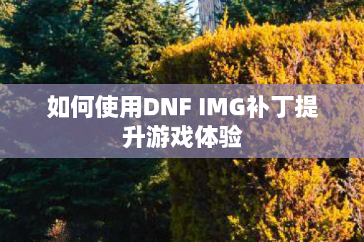 如何使用DNF IMG补丁提升游戏体验