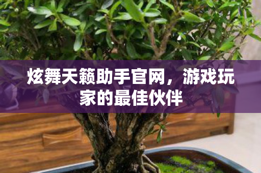 炫舞天籁助手官网，游戏玩家的最佳伙伴