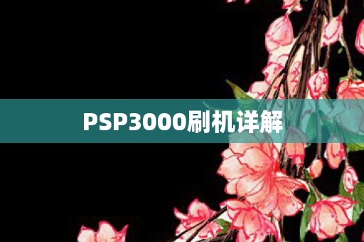 PSP3000刷机详解