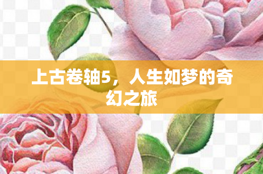 上古卷轴5，人生如梦的奇幻之旅