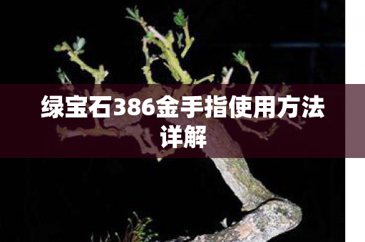 绿宝石386金手指使用方法详解