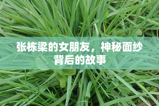 张栋梁的女朋友，神秘面纱背后的故事