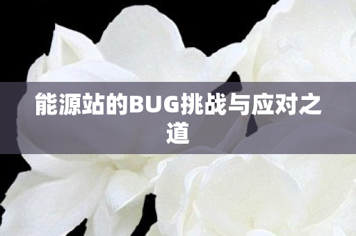 能源站的BUG挑战与应对之道