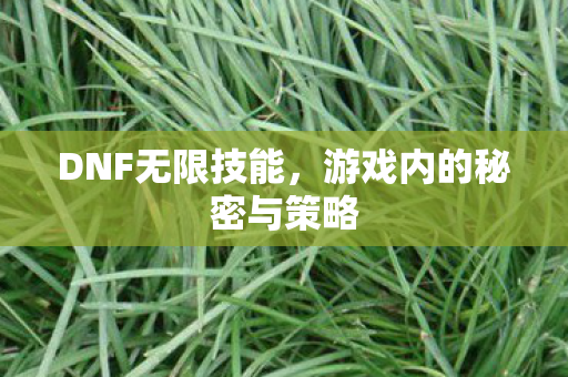 DNF无限技能，游戏内的秘密与策略