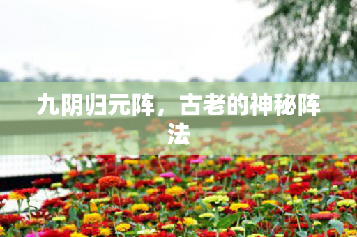 九阴归元阵，古老的神秘阵法