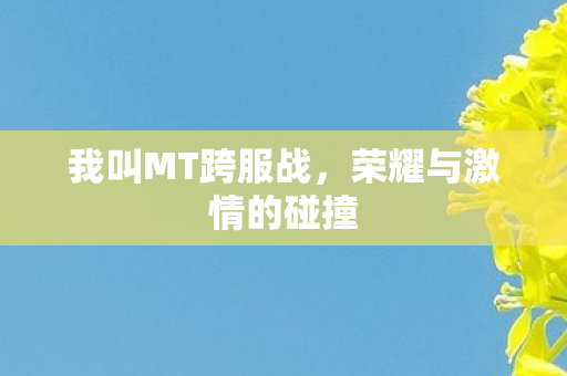 我叫MT跨服战，荣耀与激情的碰撞