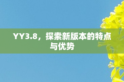 YY3.8，探索新版本的特点与优势
