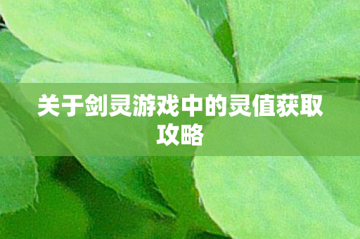 关于剑灵游戏中的灵值获取攻略