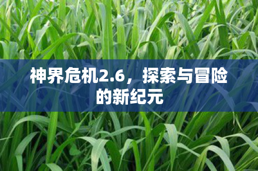 神界危机2.6，探索与冒险的新纪元