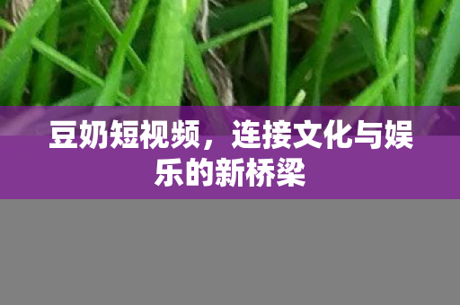 豆奶短视频，连接文化与娱乐的新桥梁