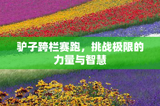 驴子跨栏赛跑，挑战极限的力量与智慧