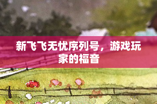 新飞飞无忧序列号，游戏玩家的福音