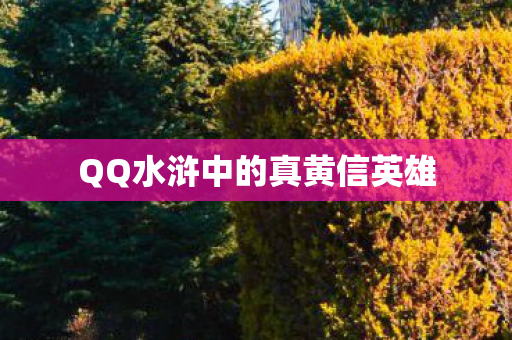 QQ水浒中的真黄信英雄