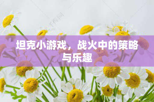 坦克小游戏，战火中的策略与乐趣