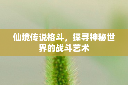 仙境传说格斗，探寻神秘世界的战斗艺术