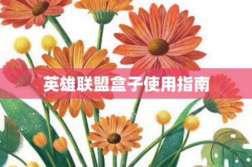 英雄联盟盒子使用指南