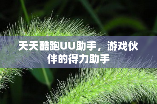 天天酷跑UU助手，游戏伙伴的得力助手