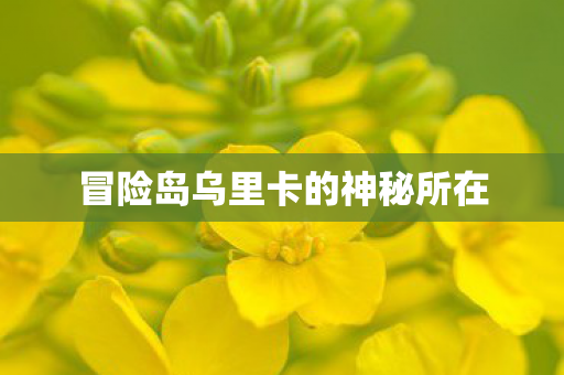 冒险岛乌里卡的神秘所在