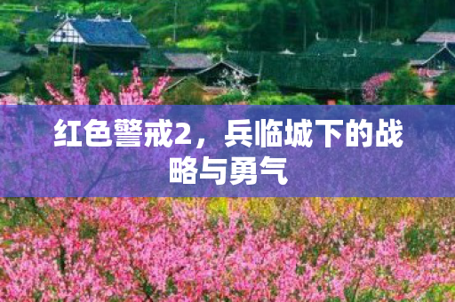 红色警戒2，兵临城下的战略与勇气