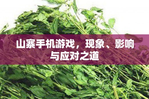 山寨手机游戏，现象、影响与应对之道