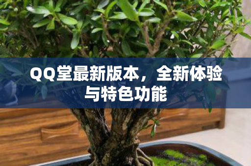 QQ堂最新版本，全新体验与特色功能